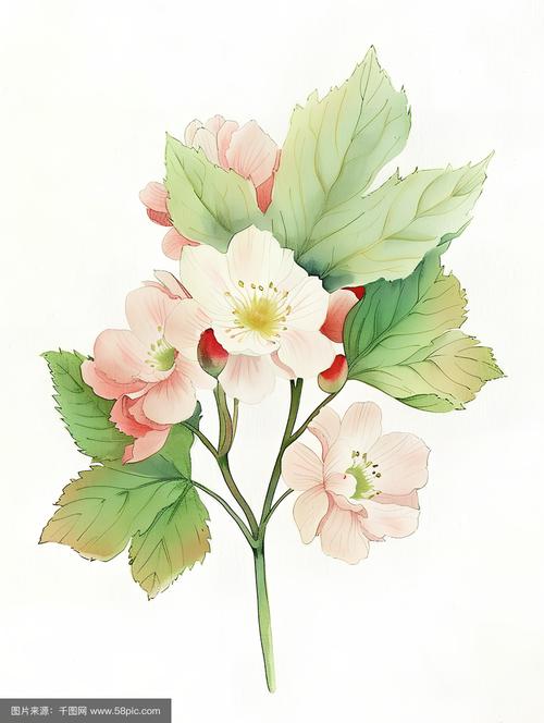 水彩手绘花卉元素插画