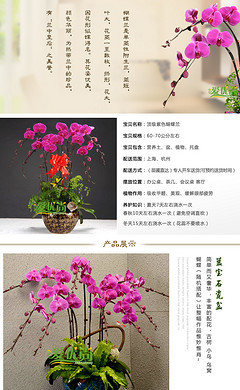 ○ 不变的眷恋。〃的个人主页_90设计90sheji.com
